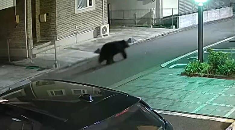 4月には仙台市中心部の住宅街にもクマが出没した