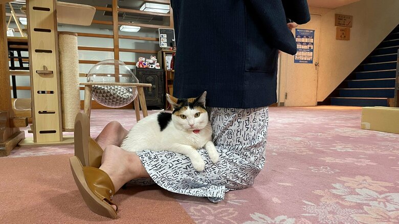 意外な場所でくつろぐことも