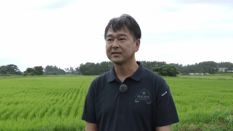 サキホコレを生産する農業生産法人 権右衛門の須田貴志代表