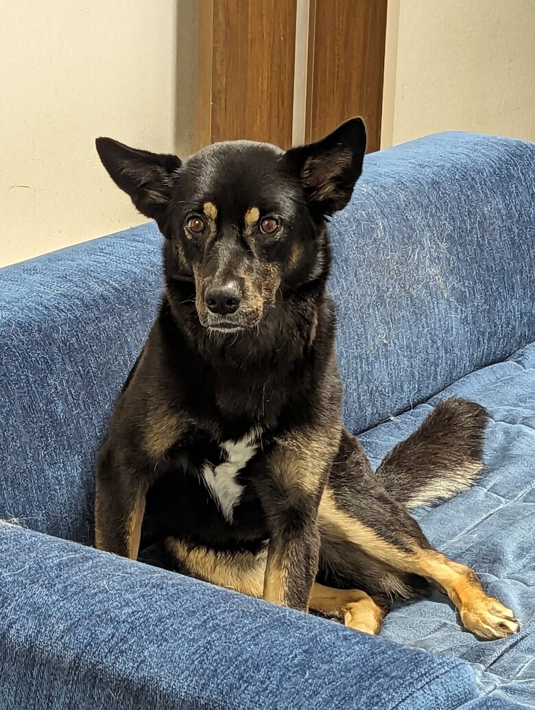 ソファに座るソラちゃん