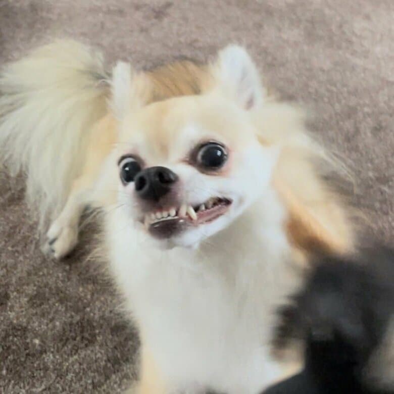 ムキ顔