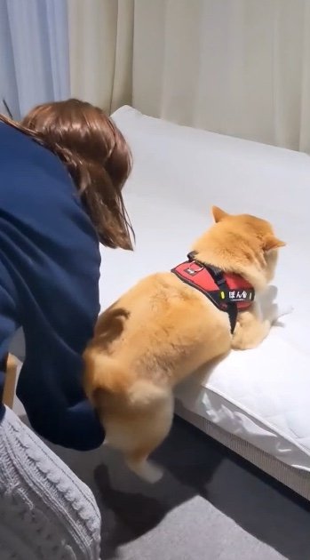 提供：natsumi.nnnさん