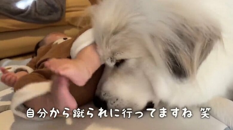 むしろ自分から蹴られにいく