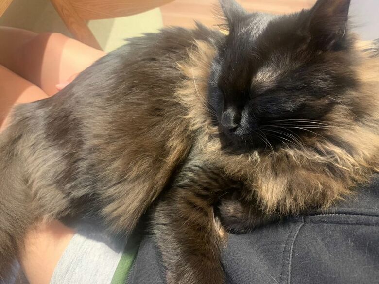 提供：イナタマグラムさん