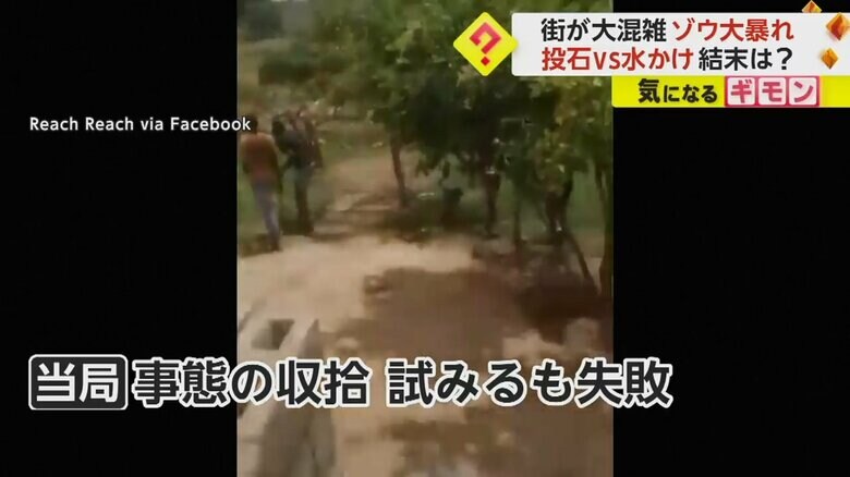 ゾウと住民たちの攻防の事態収拾を試みるも失敗。