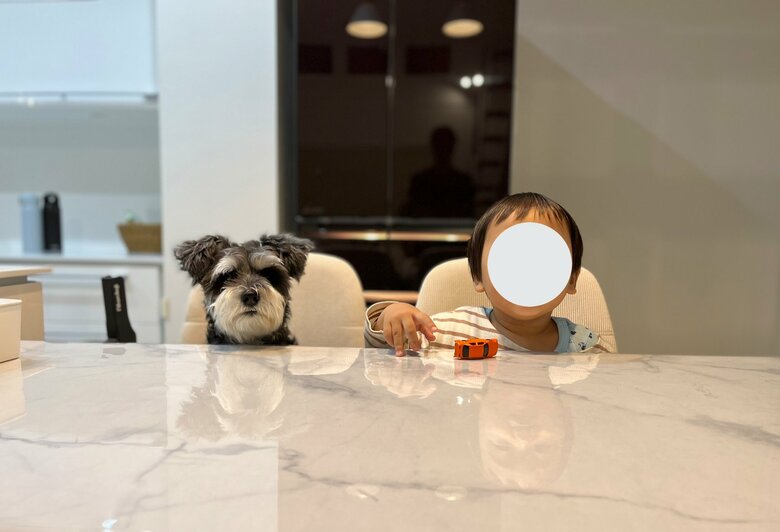 提供：くぅさん