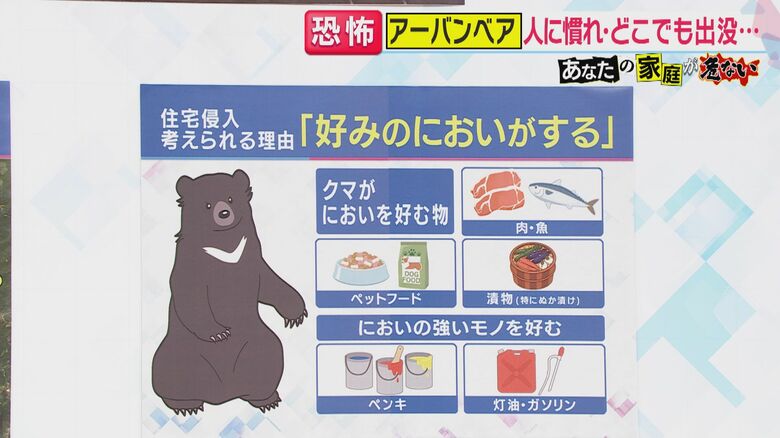 クマの好みのにおい
