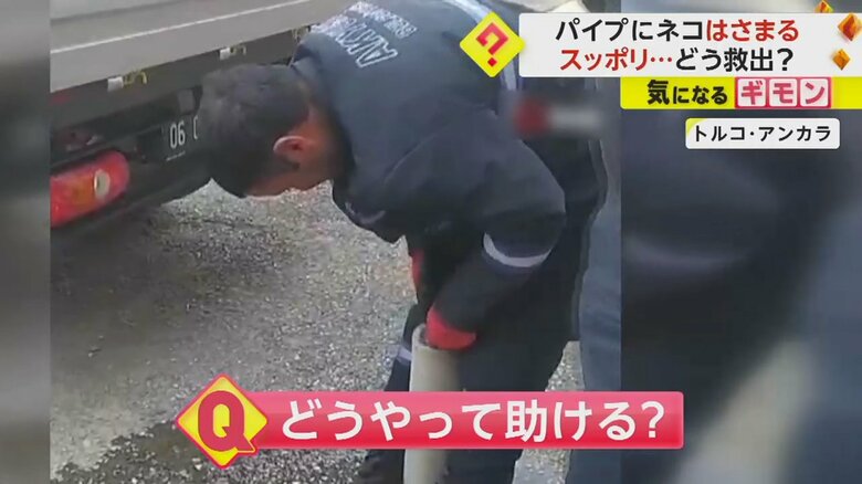 通報を受け、救出にやってきた市の職員