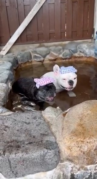 提供：天使の笑顔さん