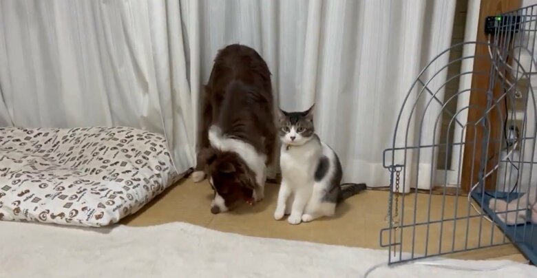 「ママが見てる…」（提供：ゆに＆メッシさん）