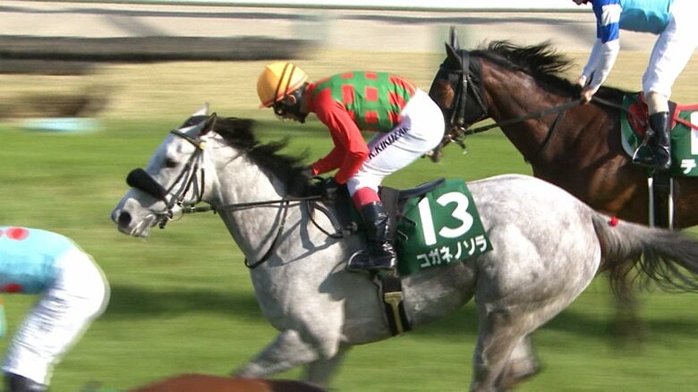 福島牝馬Sを制したコガネノソラ