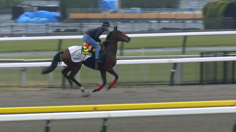 最終追い切りを行うゴリアット