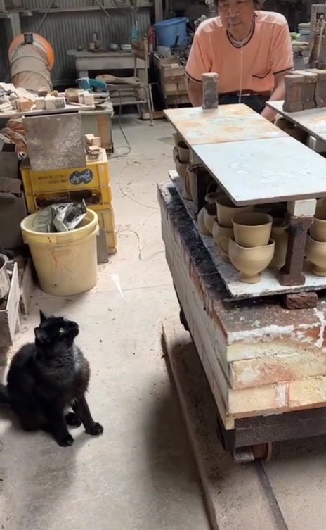 狙いを定めて…