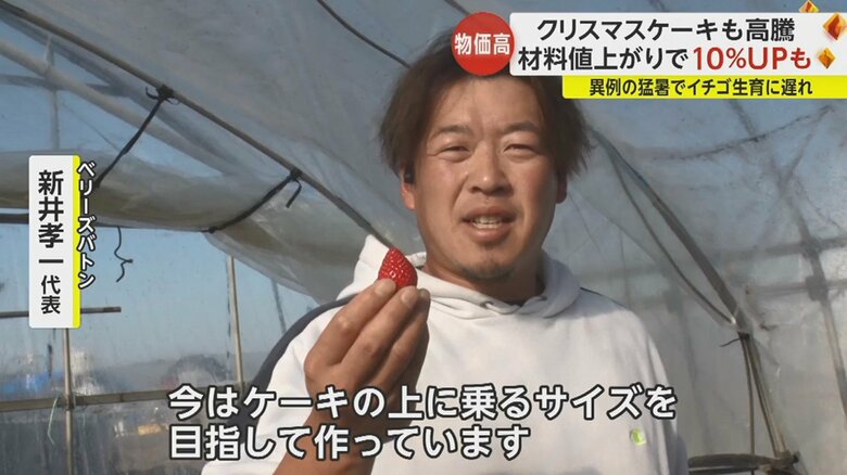 「例年よりも夏が暑かったので…まだイチゴが大きい」