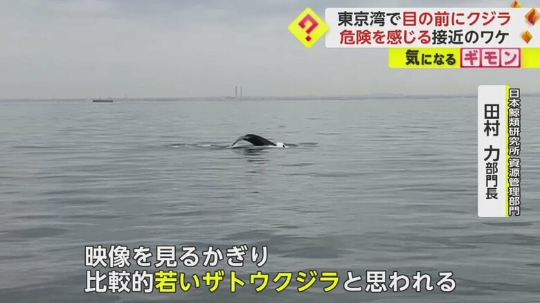 （画像：ビデオポスト（視聴者投稿映像）より）