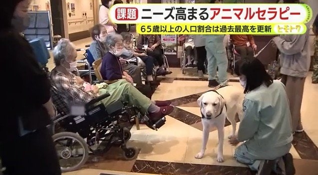 セラピー犬が訪れた特別養護老人ホーム（静岡県小山町）