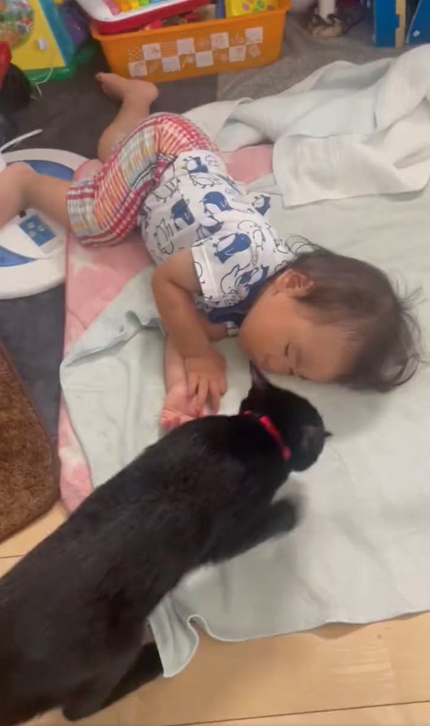 提供：ゴンゾウR4さん