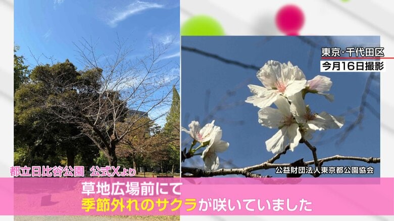 東京・千代田区　都立日比谷公園
