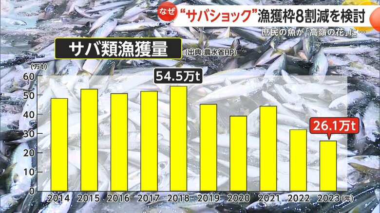 サバ類の漁獲量は2018年から7年で半減している