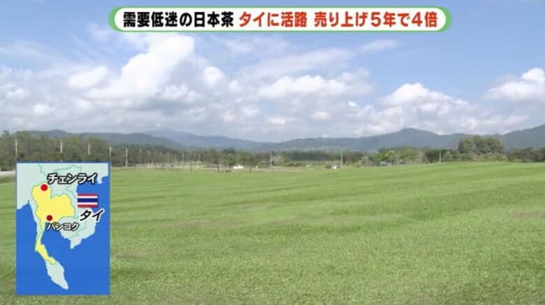 茶園のある国境の町チェンライ