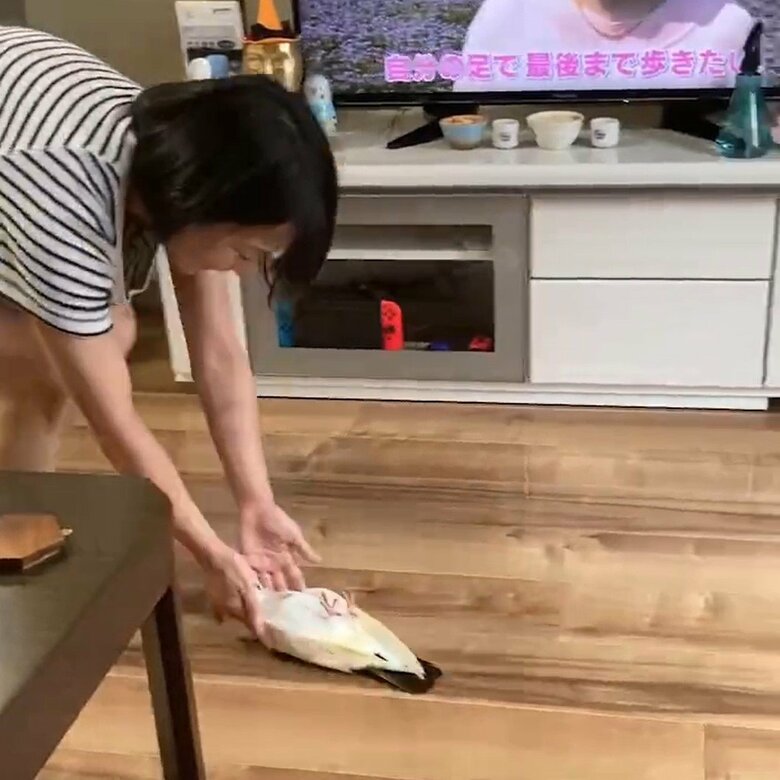 すごい体勢の幸生くん（提供：ららこさん）