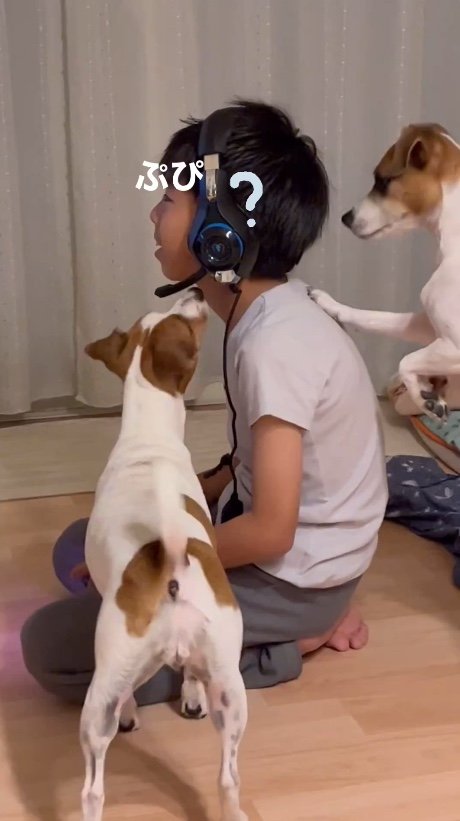 提供：あずもなさん