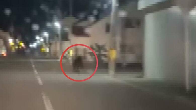 湧別町で撮影されたクマ（撮影：視聴者）
