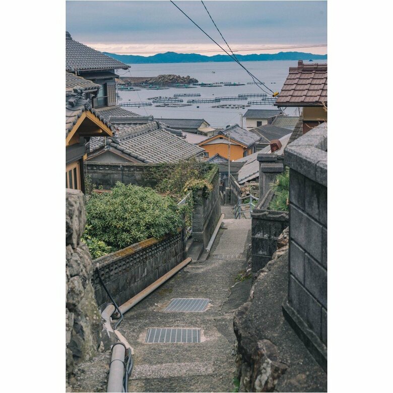 愛媛県愛南町・中泊（2024年2月撮影）