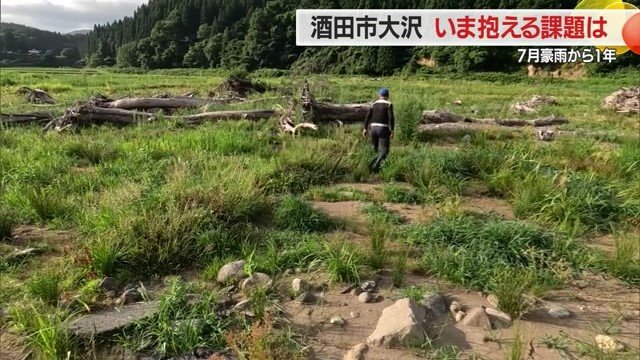 ここが田んぼだったとは信じられない状態