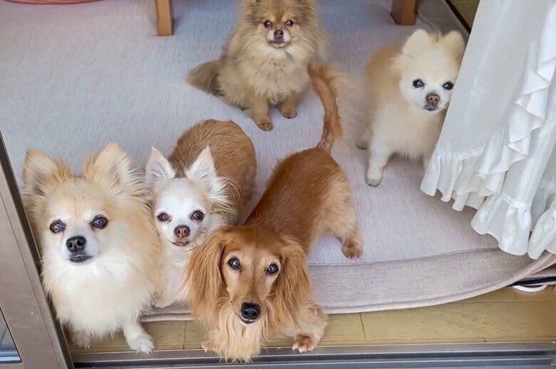 一緒に暮らしている家族