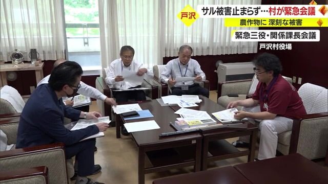 緊急三役・関係課長会議（戸沢村役場）