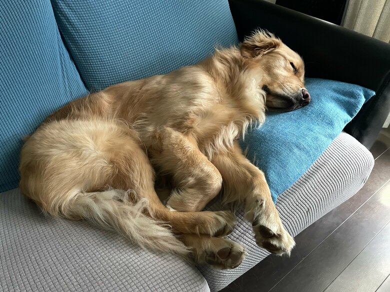 すやすやな姿を撮影していると…