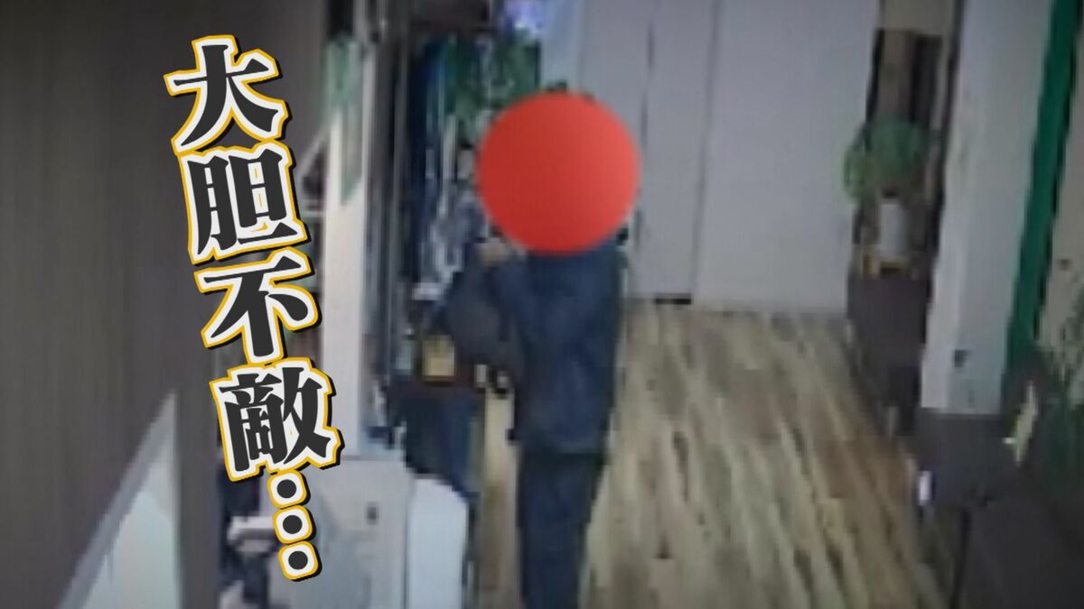 お金がなくて…」 動物病院の募金箱2個を盗んだ疑い “腕に覚えのある