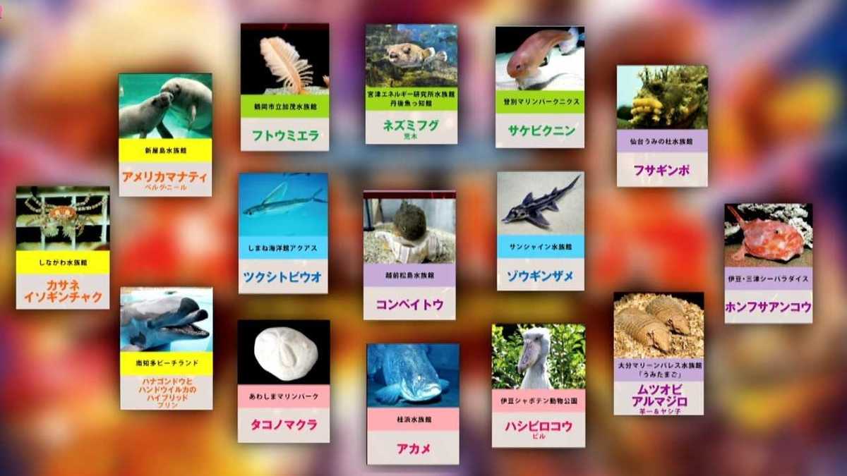 種の頂点に輝くのは 全国から集結 変な生き物グランプリ