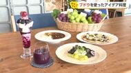 「カレーにブドウ？」驚きの食べ方も　来年100周年・富山市の老舗ブドウ園で旬のブドウ体験