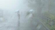 「梅雨の走り」夏のような暑さから季節が逆戻り？気温も急降下し各地で雨や強風　週明け関東で再び季節外れの暑さに