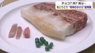 高級チョコやジューシーなステーキ！？…実は“地球のかけら”　世界中の貴重な鉱物400点を集めた企画展　坂井市龍翔博物館で9月6日まで