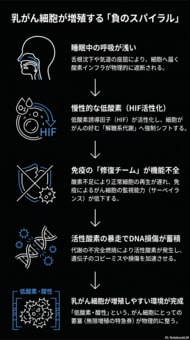 乳がんリスクの“最上流”にあるのは低酸素環境だった──睡眠中の体内環境に関する調査プロジェクトを開始