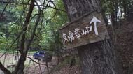 「登山道から男性が滑落したようだ」キノコ採りで約70メートル滑り落ちる　74歳男性を救助　全身打撲などのケガ　長野・生坂村
