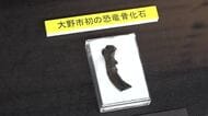 新種の可能性も？！　ティラノの歯が見つかった地で化石愛好家が鳥盤類の大腿骨発見　