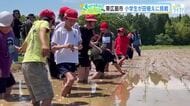 裸足やサンダルで田んぼに　東広島で児童が田植え体験　ぬかるみに苦戦も「上手く植えられました」