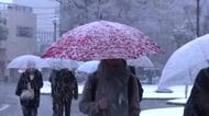 20日の富山県内、雪の降り方が強まることも　予想最高気温は朝からほとんど上がらず富山市で2度予想