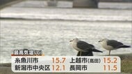 昼前にかけて気温上昇　糸魚川市などで15℃超　4月の陽気【新潟】