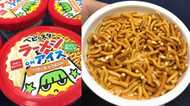 クセがすごい!衝撃の新商品「ベビースター ON アイス」を食べてみた