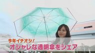 雨の日が楽しみ!まるでステンドグラス&星空やオーロラを見上げているかのよう…最新「おしゃれ透明傘」