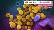 【速報】福島県で新たに11人の感染確認 新型コロナウイルス<6月24日発表>