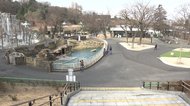 2度目の「緊急事態宣言」初の週末…名古屋の観光地閑散 東山動植物園は19日から園内人数5千人超で入場制限