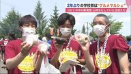 2年ぶりの学校祭はコロナ禍の新しい“グルメマルシェ”　キッチンカー＆フードロス削減の仕組みも【北海道発】