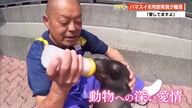 持病を機に離職決意…ハマスイ歴40年《名物飼育員》盛田勝寛さん（63）高知を離れ故郷・北海道へ