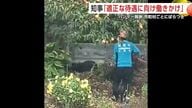 クマ捕獲のハンター報酬、市町村でばらつき　鈴木知事、“適切な待遇確保”に向け働きかける考え示す　秋田